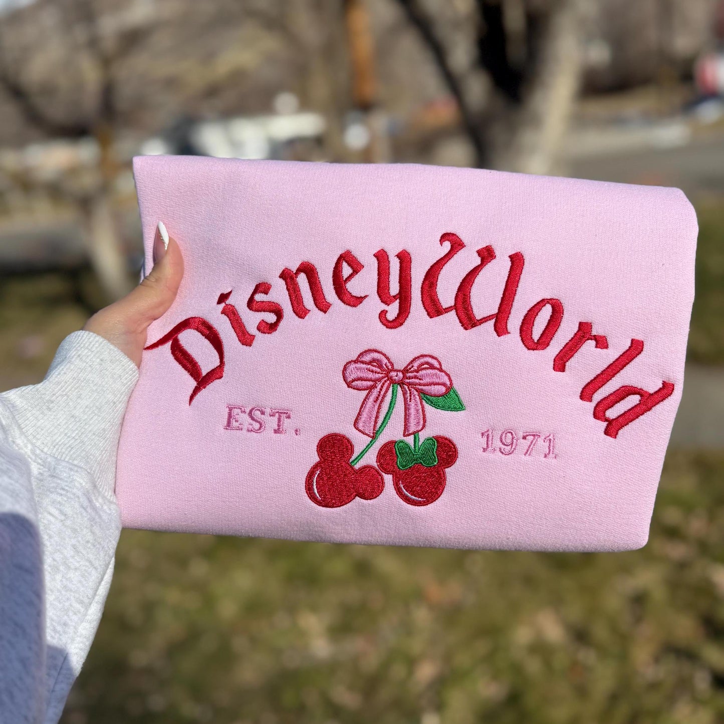 Disneyland Disneyworld Embroidery Sweatshirt