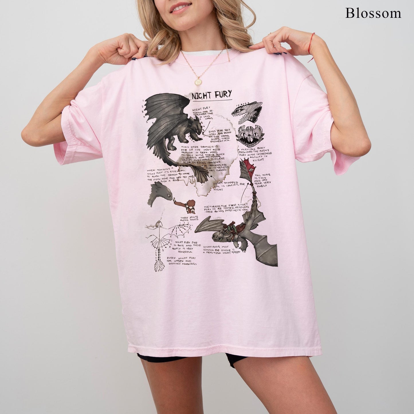 Toothless and Night Fury Shirt, How To Train A Dragon Shirt